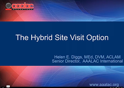 Hybrid Site Visit