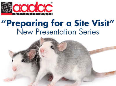 Preparing for a site visit series