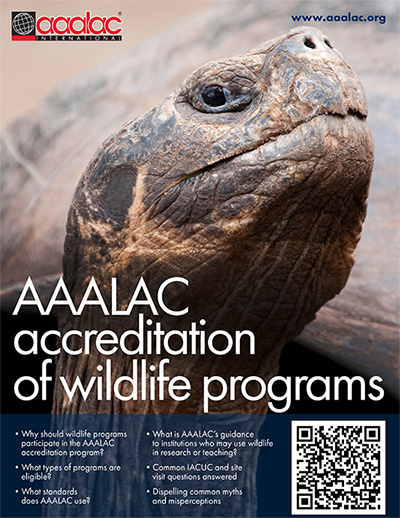 Wildlife Brochure