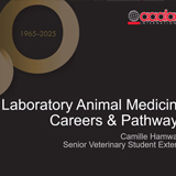 Career Pathways Video