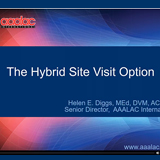 Hybrid Site Visits