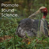 Wildlife Programs